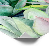 Poster Aquarelle succulent sans soudure motif, echeverie (Coin)