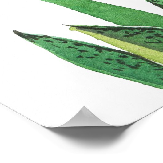 Poster Aquarelle Succulente Conception Motif transparente (Coin)