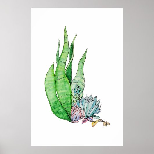Poster Aquarelle Succulente Végétation Botanique (Devant)