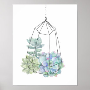 Poster Aquarelle Terrarium Succulent Main tirée
