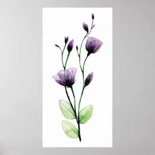 Poster Aquarelle transparente fleur rose sauvage