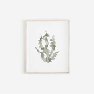 Poster Aquarelle vert algue imprimé vintage