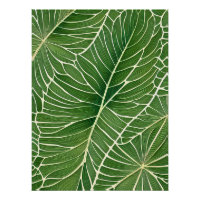 Aquarelle Vert Feuilles tropicaux