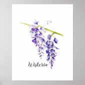 Poster Aquarelle Wisteria Botanique (Devant)