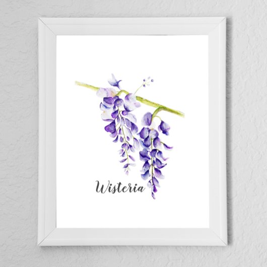 Poster Aquarelle Wisteria Botanique