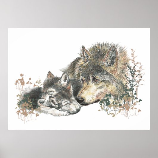 Poster Aquarelle Wolf Parent & Cube Animal Art (Devant)