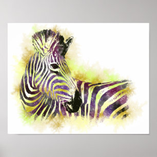 Poster Aquarelle Zeba