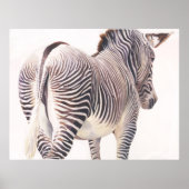 Poster Aquarelle Zebra Wildlife (Devant)