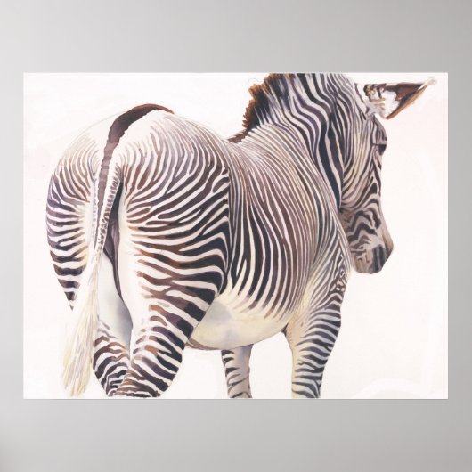Poster Aquarelle Zebra Wildlife (Devant)