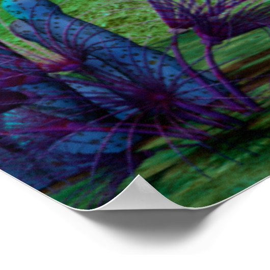 Poster Aquarium3D (Coin)