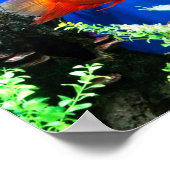 Poster Aquarium aquarium aquarium (Coin)