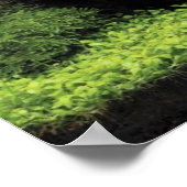 Poster Aquarium de l'Eau douce (Coin)
