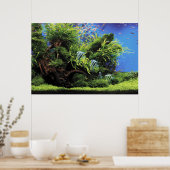 Poster Aquarium de l'Eau douce (Cuisine)