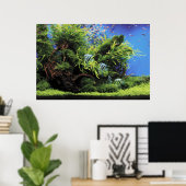Poster Aquarium de l'Eau douce (Bureau à domicile)