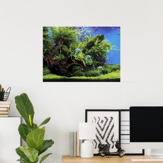 Poster Aquarium de l'Eau douce (Bureau à domicile)