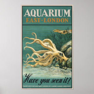 Poster Aquarium, East London - Octopus