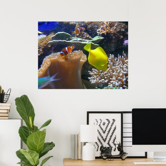 Poster Aquarium (Nemo) (Bureau à domicile)