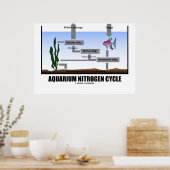 Poster Aquarium Nitrogen Cycle (écologie) (Cuisine)