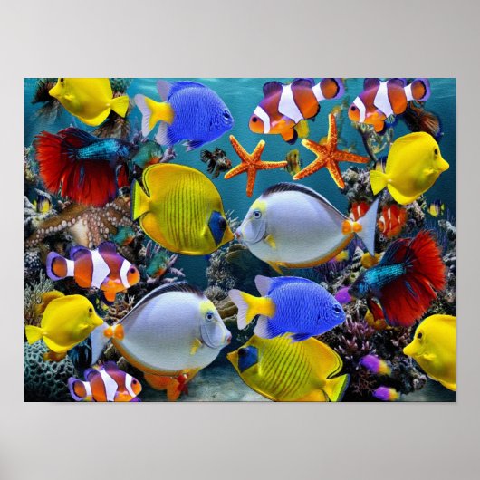 Poster aquarium pêche aux poissons tropicaux (Devant)