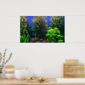 Poster Aquarium pour Aquarium Arrière - plan (Cuisine)