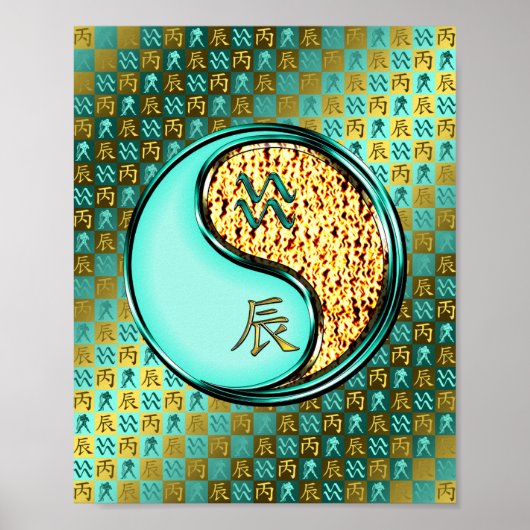 Poster Aquarius & Dragon de feu (Devant)