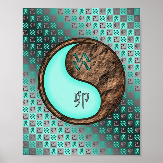 Poster Aquarius & Earth Rabbit (Devant)