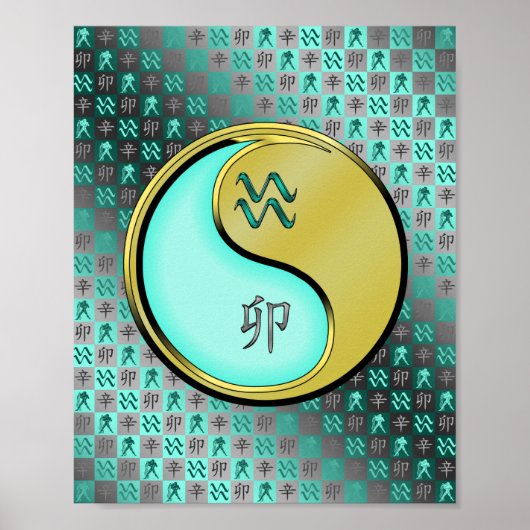 Poster Aquarius et lapin métallique (Devant)