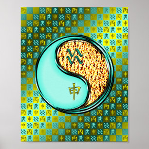 Poster Aquarius et singe du feu