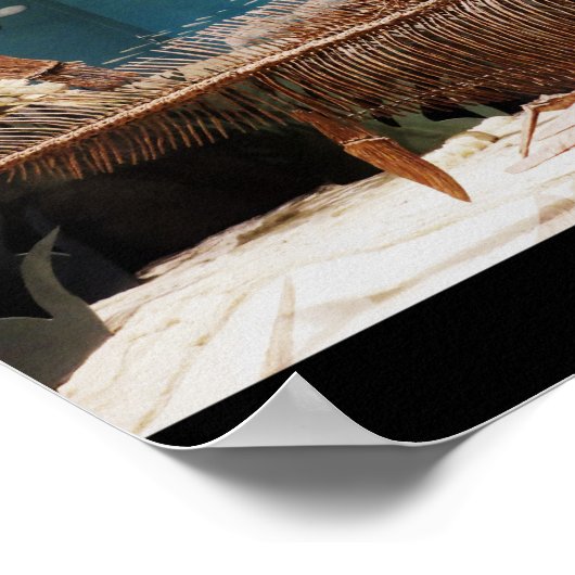 Poster Aquatic Dino (Coin)