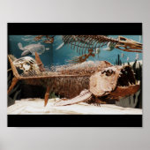 Poster Aquatic Dino (Devant)