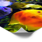 Poster Aquatic Tropical Sea Fish (Coin)