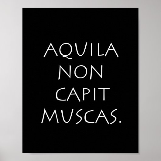 Poster Aquila non captive muscas (Devant)