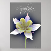 Poster Aquilegia (Devant)