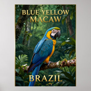 Poster 🦜 Ara bleu et jaune de la forêt tropicale brésili