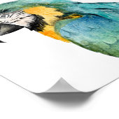 Poster Ara bleu et or aquarelle (Coin)