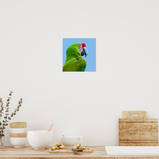 Poster Ara Militaris Green Parrot (Cuisine)