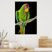 Poster Ara Militaris Perroquet Vert (Cuisine)