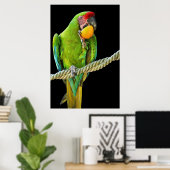 Poster Ara Militaris Perroquet Vert (Bureau à domicile)