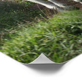 Poster Arabe Gris Courant Sur Le Chemin Avec Fleurs (Coin)