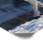 Poster Arabe Gris Courir Dans Le Mane De Neige Flissant (Coin)