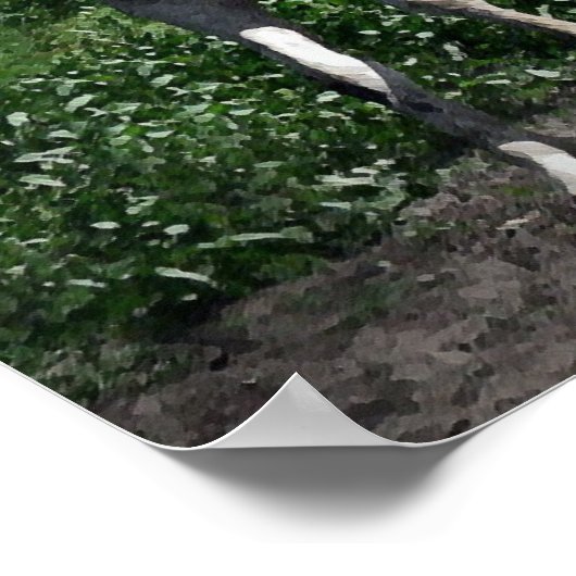 Poster Arabe Mare (Coin)