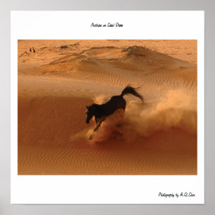 Poster Arabe sur la dune de sable