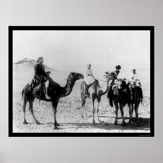 Poster Arabes à dos de chameaux dans le désert du Sahara (Devant)