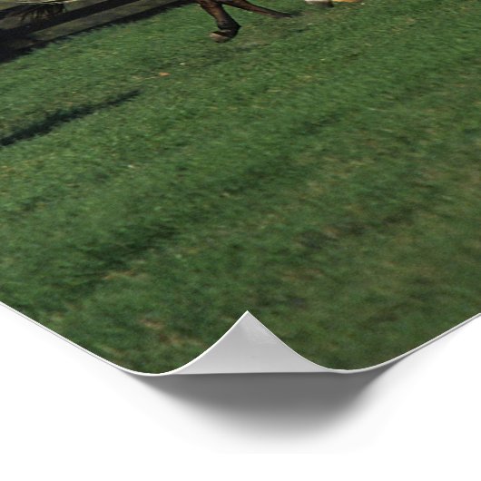Poster Arabes en cours d'exécution sur le terrain (Coin)