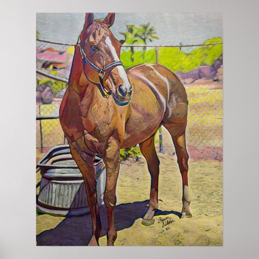 Poster Arabian Horse Art (Devant)