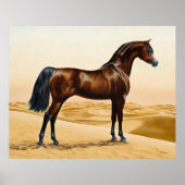 Poster Arabian Horse - William Barraud (Devant)