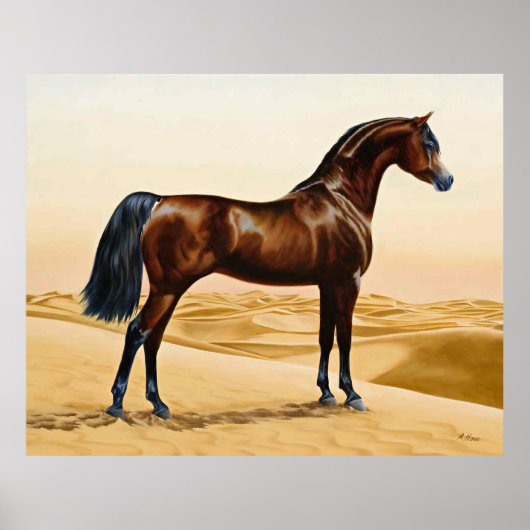 Poster Arabian Horse - William Barraud (Devant)