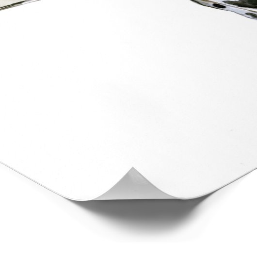 Poster Arabian Leopard 2008 6 (Coin)