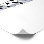 Poster Arabian Leopard 2008 7 (Coin)