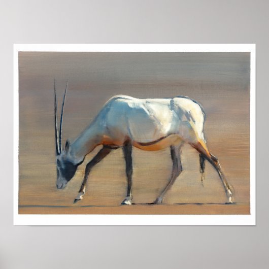 Poster Arabian Oryx 2010 (Devant)
